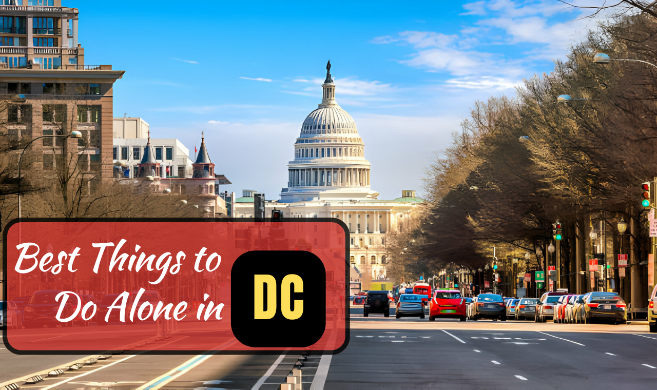 Best Things To Do Alone in DC