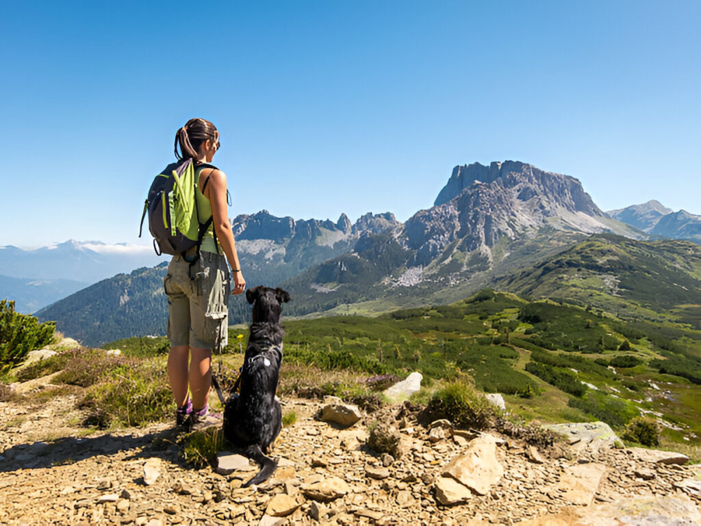 hike in the mountains with your dog