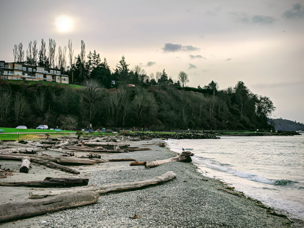 edmonds dog park, marina beach